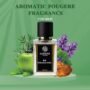Luxsaa Endless Aura Perfume for Men 50ml | Long Lasting Aromatic Fougere fragrance